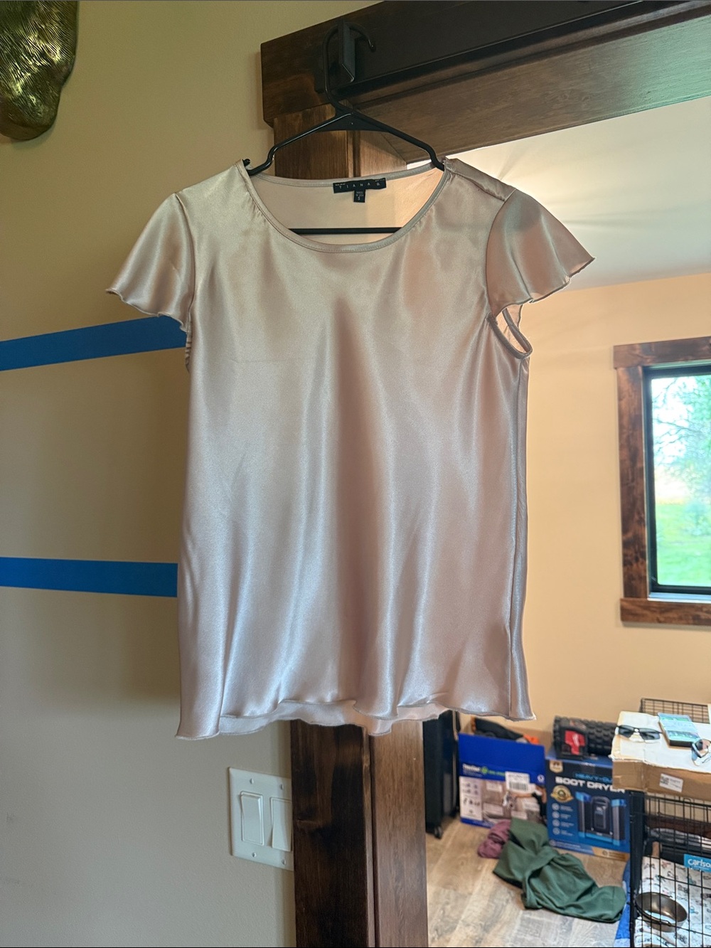 Tiana B. Satin Short Sleeve Top in Pale Pink